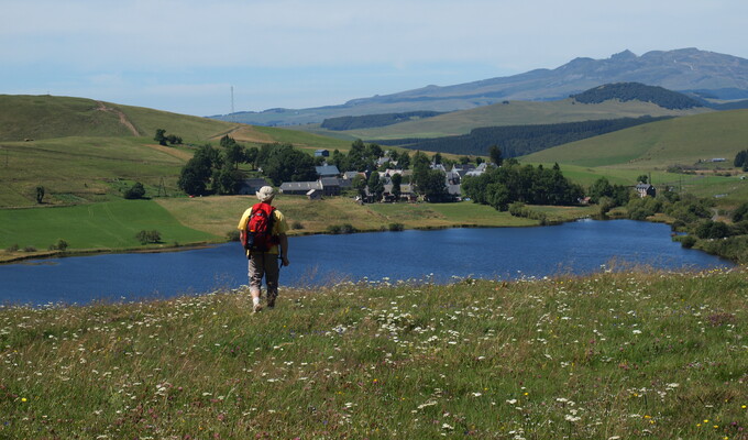 Trek en étoile dans les steppes du Cézallier : estives, burons et savoir-faire d'Auvergne